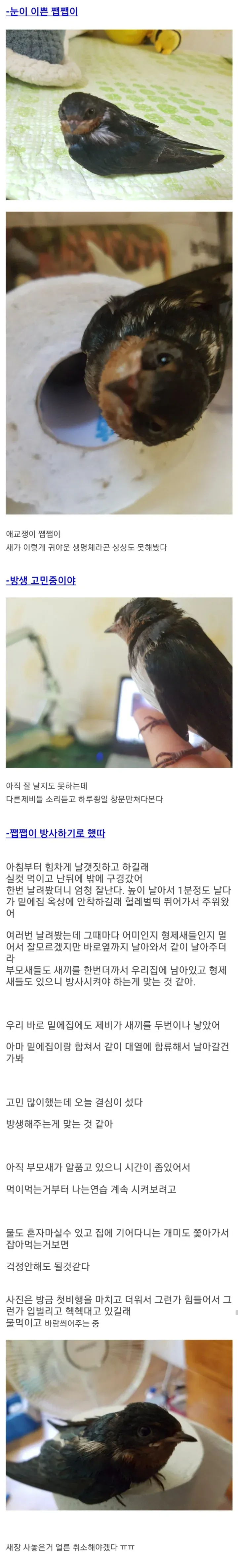 CKQTJA (2).webp 흔한 디씨의 흥부.ㄷㄷㄷ.MP4