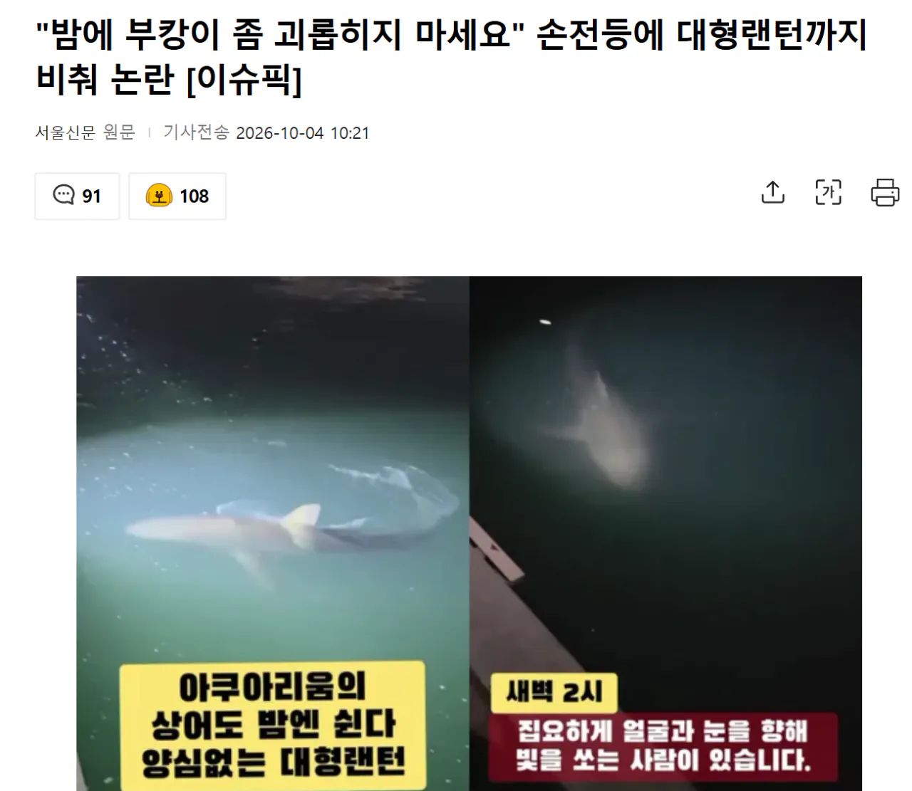 Screenshot 2026-10-04 at 16.44.40.png "밤에 부캉이 좀 괴롭히지 마세요" 손전등에 대형랜턴까지 비춰 논란