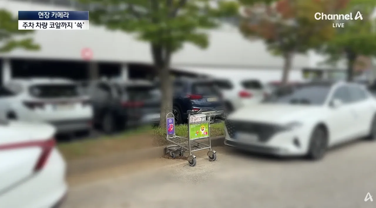 설마 여기까지…공항 카트의 황당 종착지 (31).png 공항카트를 자기 마음대로 쓴다는 뻔뻔한 인간들