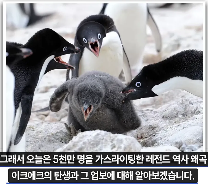image.png 대한민국을 40년간 가스라이팅한 레전드 사기꾼을 Araboja