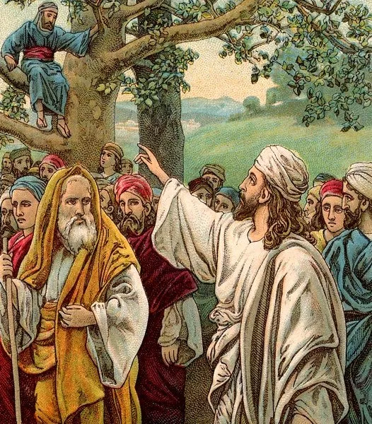 image.png 삭개오의 나무