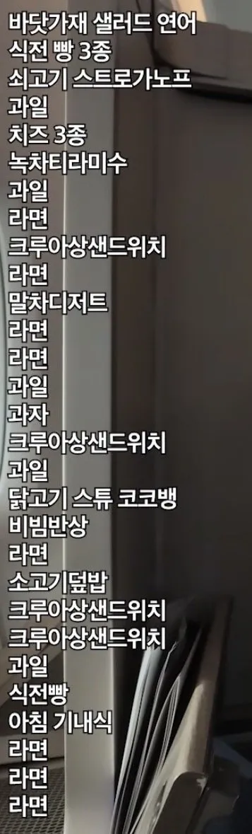 IMG_1786.jpeg 비행기에서 라면을 너무 먹어서 욕먹고 있는 유튜버