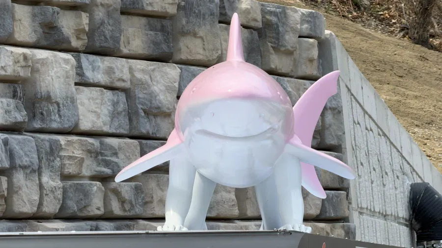 정보) 부산에는 버스정류장에도 상어가 있다
