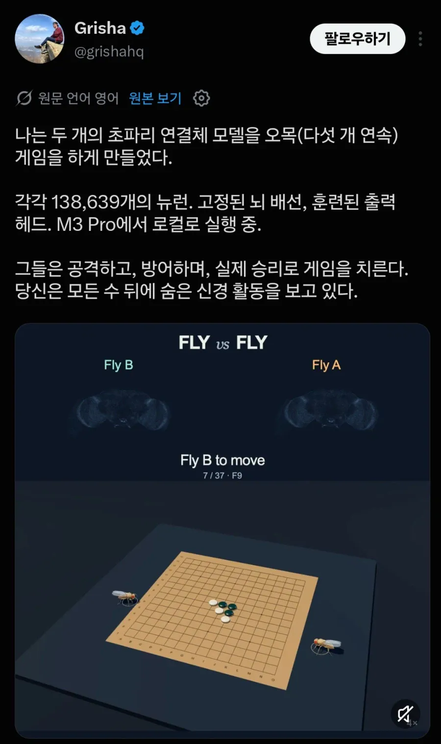 오목.webp 이젠 사람의 지능까지 도전하고 있다는 통속의 뇌 초파리 근황 ㄷㄷㄷㄷㄷ