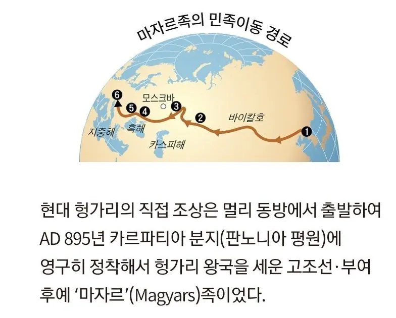 image.png 진짜 환빠 케이스 중 뇌절을 넘어 유쾌의 영역으로 진입한 거