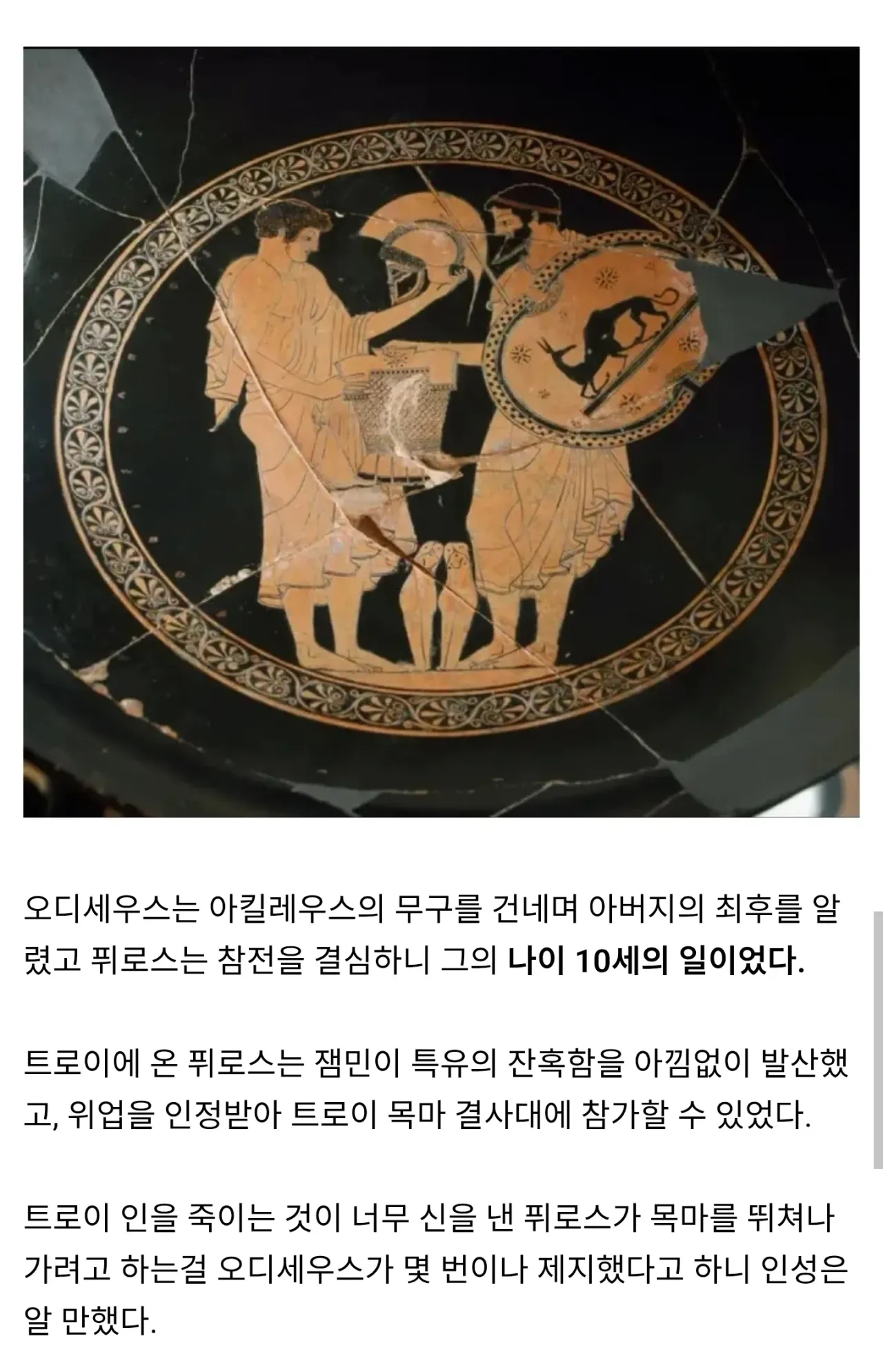 트로이 함락 이후 헥토르의 가족들에게 생긴 일.jpg - 유렉카 채널 001.webp (신화) 트로이 함락 이후 헥토르의 가족들에게 생긴 일