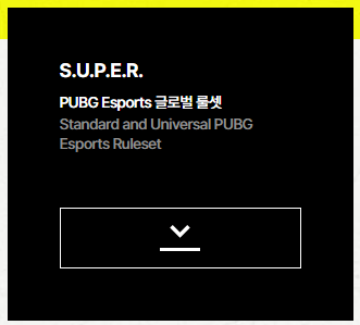 image.png KRAFTON์ PUBG E-SPORTS ๊ธ๋ก๋ฒ ๋ฃฐ์
