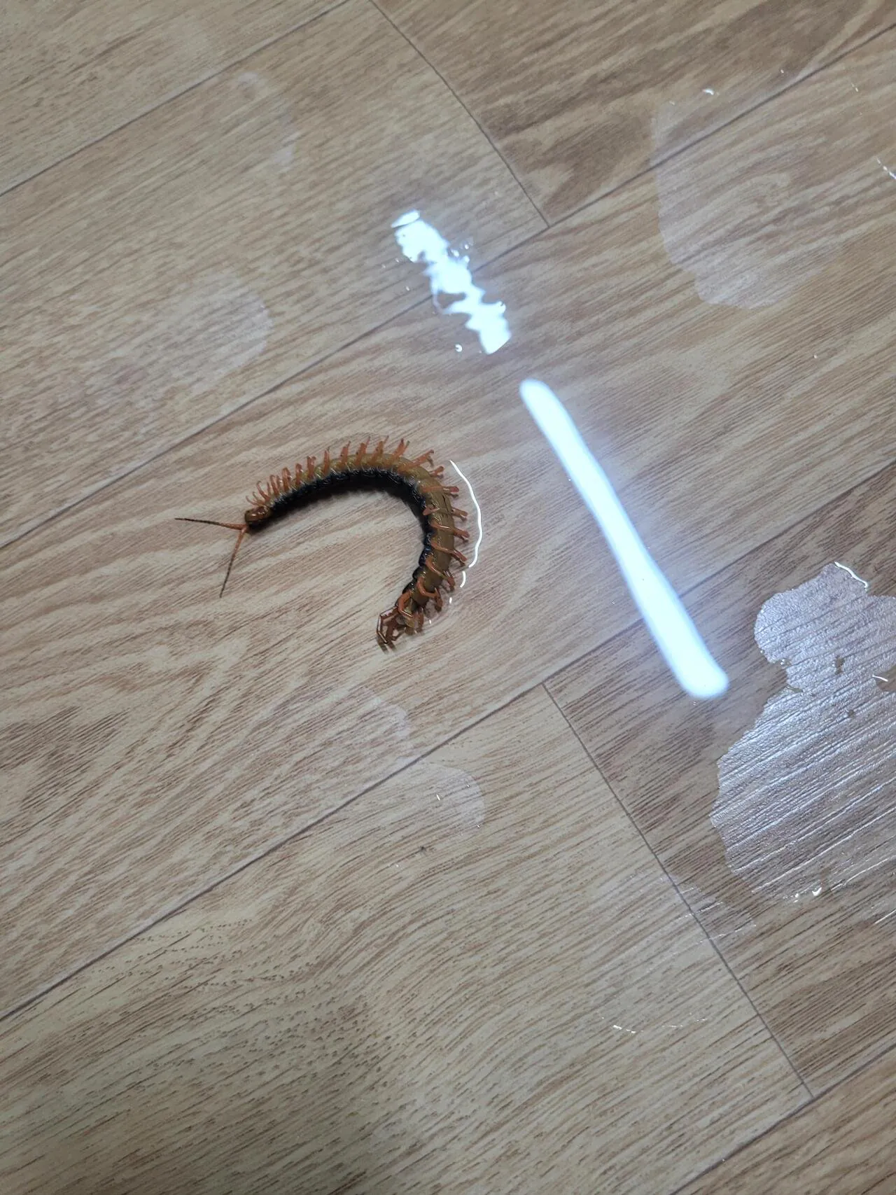 1000004328.jpg 혐) 새벽에 한바탕 크게 싸웟다