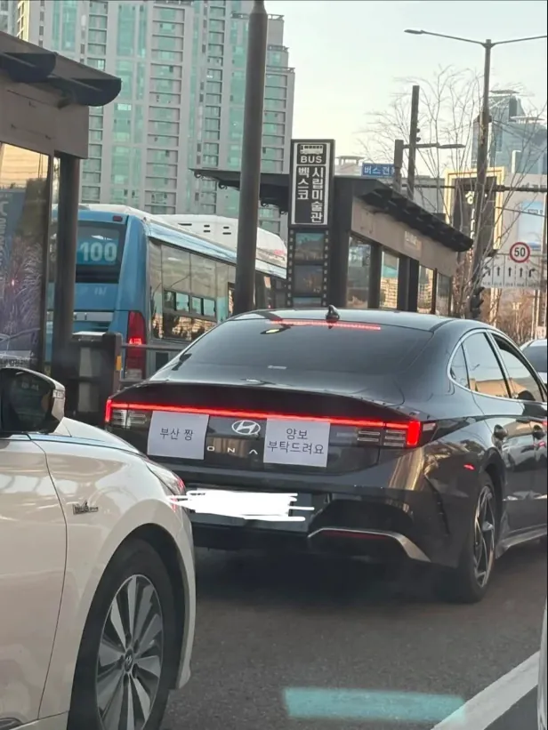 부산짱.PNG 부산에 처음 놀러 온 초보운전자
