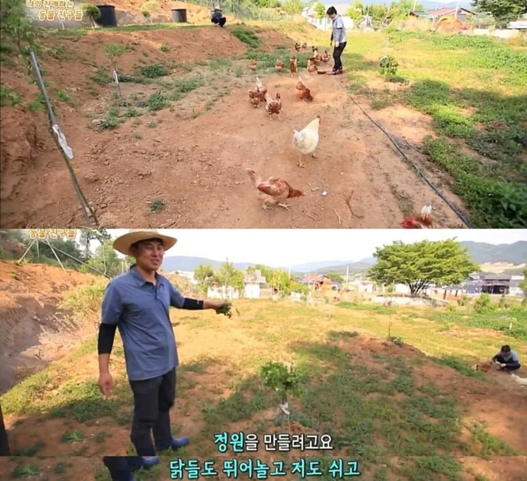 백숙집 차리려고 닭 키우기 시작한 부부의 최후