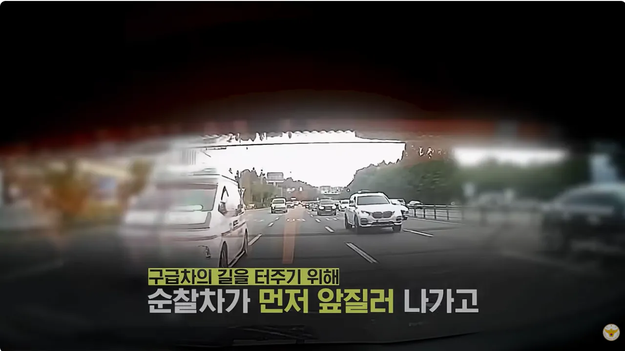 생후 2일 신생아 긴급 에스코트 (5).png 생후 2일된 아기 긴급 에스코트 시민들이 모두함께 살렸다