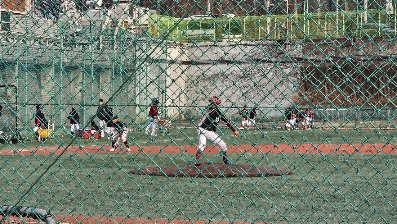 20260318_171026.jpg 좌투좌타 아들) 10개월만에 근황 글