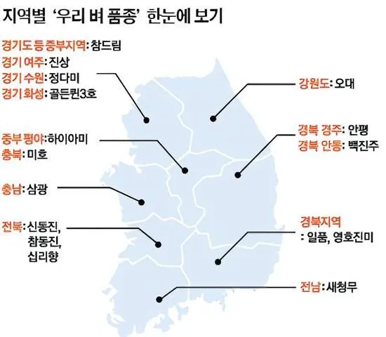 주요 쌀 품종 특징 비교