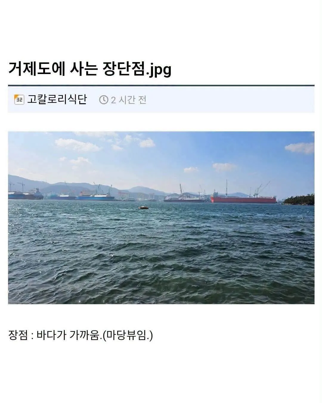 거제도에 사는 정단점