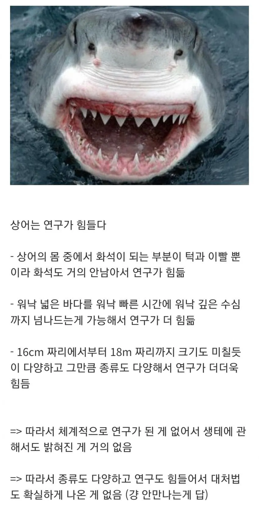 1790513743.jpg 인지도는 최고 수준인데 정작 알려진 건 거의 없는 생물