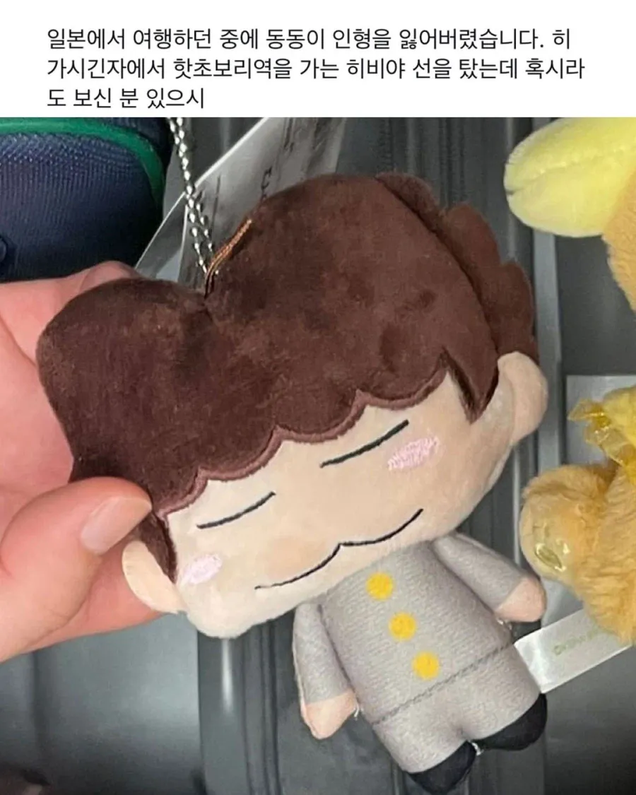 1000042517.webp 일본 여행 중 잃어버린 인형