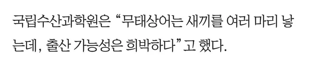 Screenshot_20260922_133856_Samsung Browser.jpg 드디어 밝혀진 부산 상어가 머무르는 이유