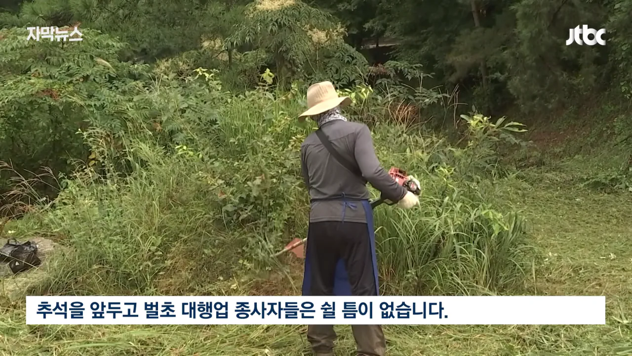 [자막뉴스] '벌초' 언제까지 할 수 있을까…_이제 이 길뿐입니다_ 깜짝 _ JTBC News 0-4 screenshot.png 성묘 & 벌초에 고심하던 600년 종가의 결단 ㄷㄷㄷ