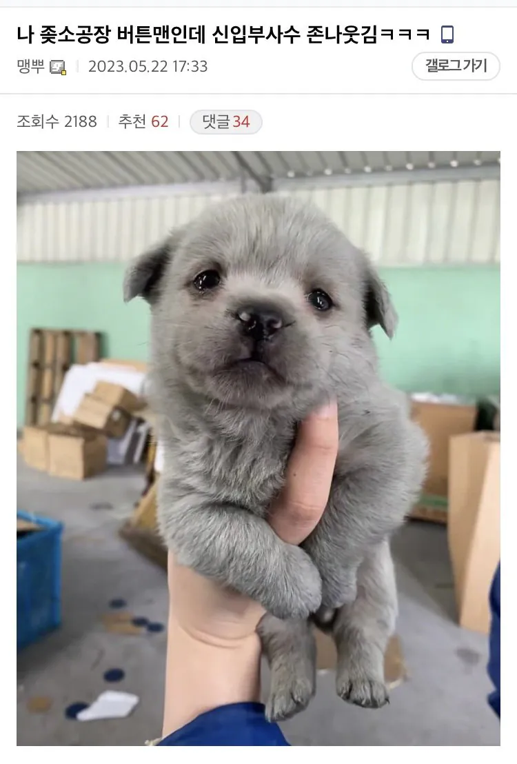image.png 중소기업 생산직 S급 부사수 ㄷㄷ.jpg
