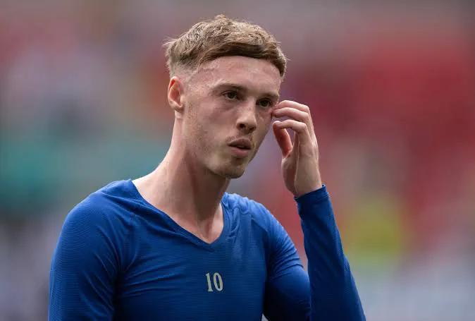 images (41).jfif.ren.jpg [짭탭 다큐] 엔조 페르난데스 이적 사가 1화