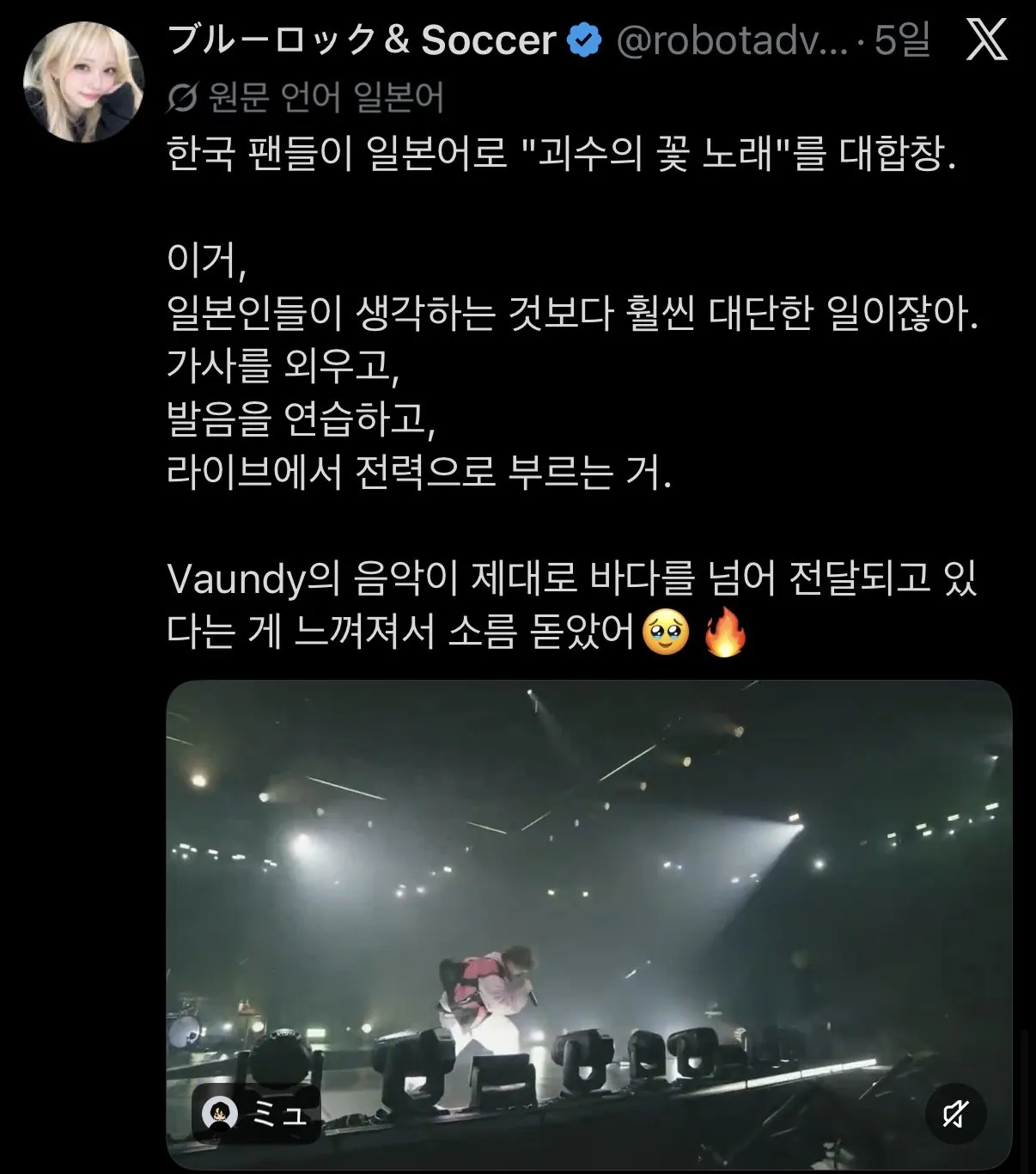 IMG_4215.jpeg 일본 가수의 내한 공연이 일본에서 생중계되면서 화제가 된 한국의 떼창.x