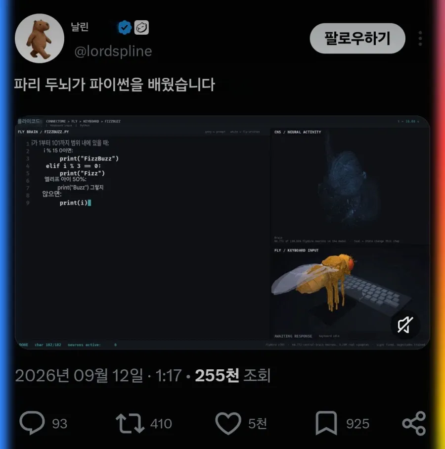 파이썬1.webp 이젠 사람의 지능까지 도전하고 있다는 통속의 뇌 초파리 근황 ㄷㄷㄷㄷㄷ