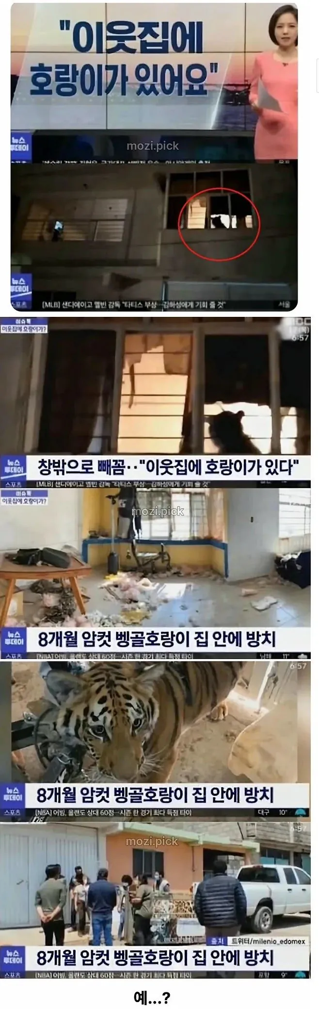 그림자 보고 집에 호랑이 있다고 신고한 결과.jpg