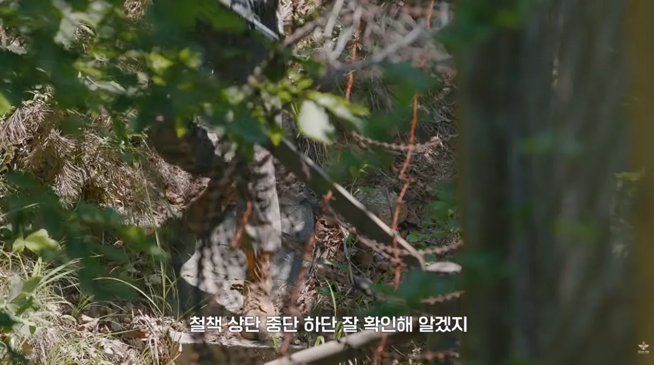 국방부와 맥도날드의 비밀작전 (10).png 국방부와 맥도날드가 준비한 비밀작전