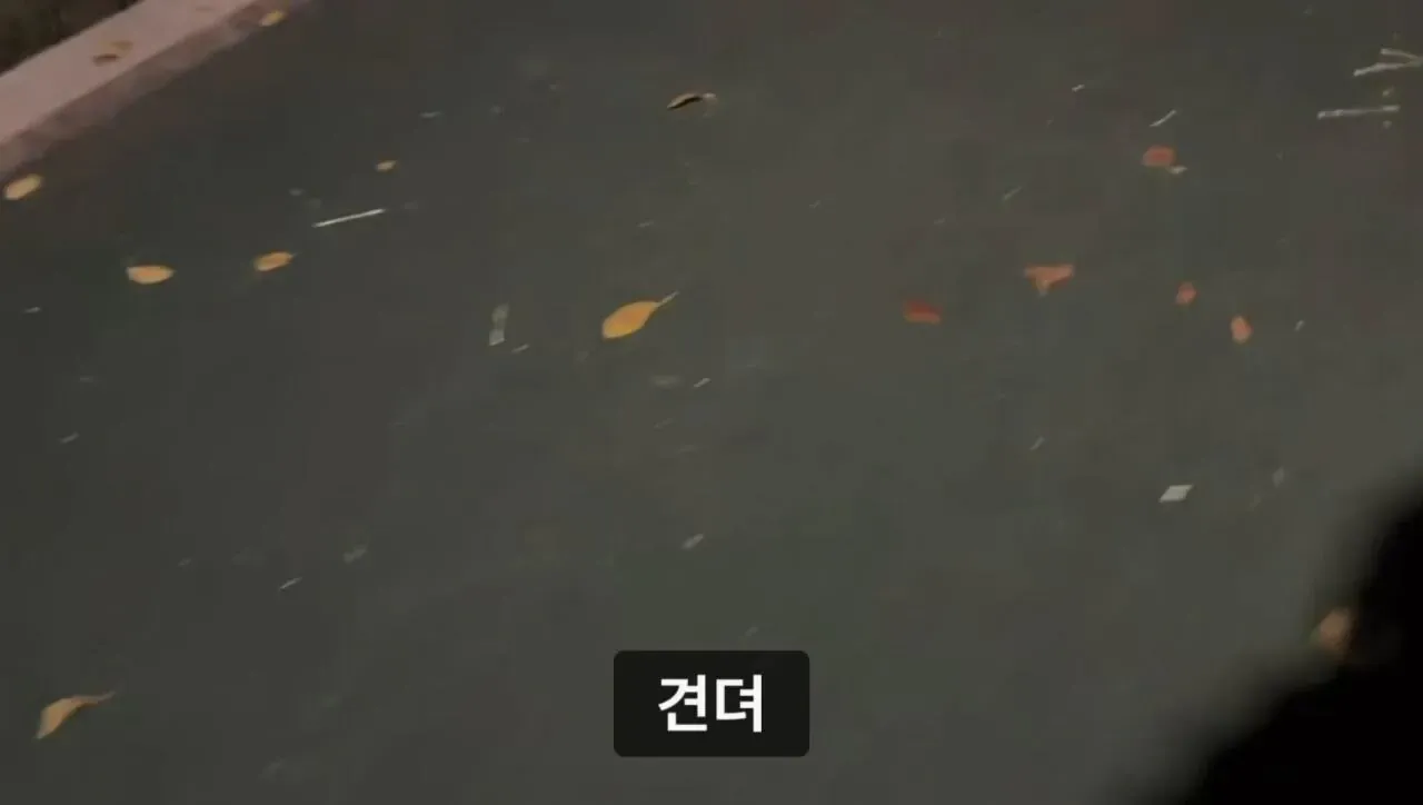 1000073734.webp 군대 안 가본 여자의 20kg 20km 행군 도전기