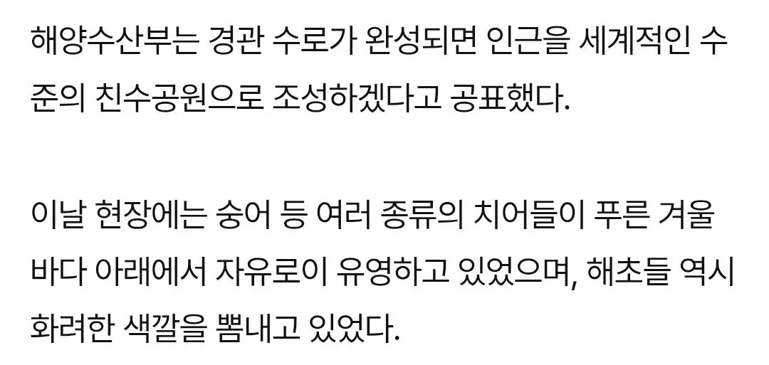 Screenshot_20260922_134900_Samsung Browser.jpg 드디어 밝혀진 부산 상어가 머무르는 이유