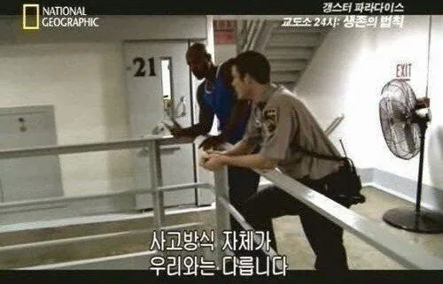 IMG_1118.jpeg 백종원의 미디엄 레어 스테이크 굽기