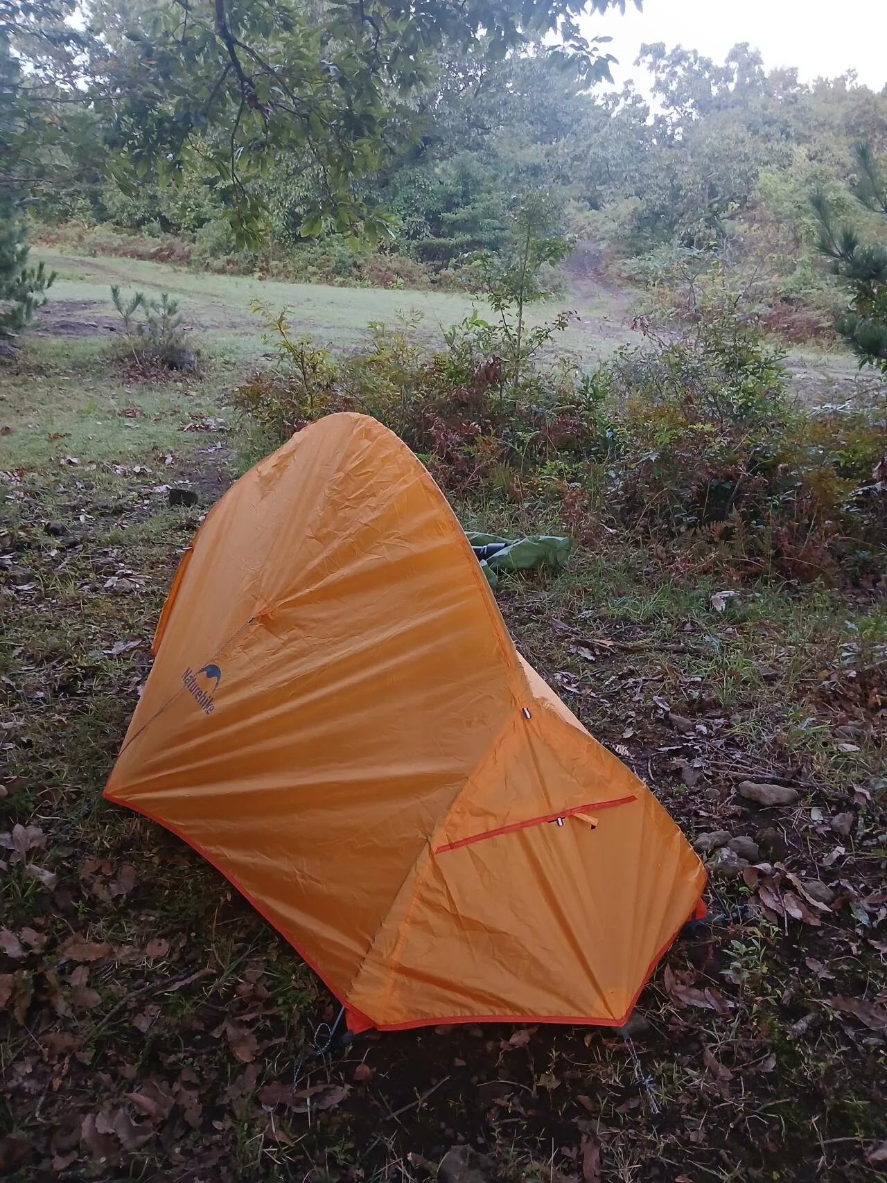 1000029400.jpg 혐주의) 제주도 뱀 수색 작전 1