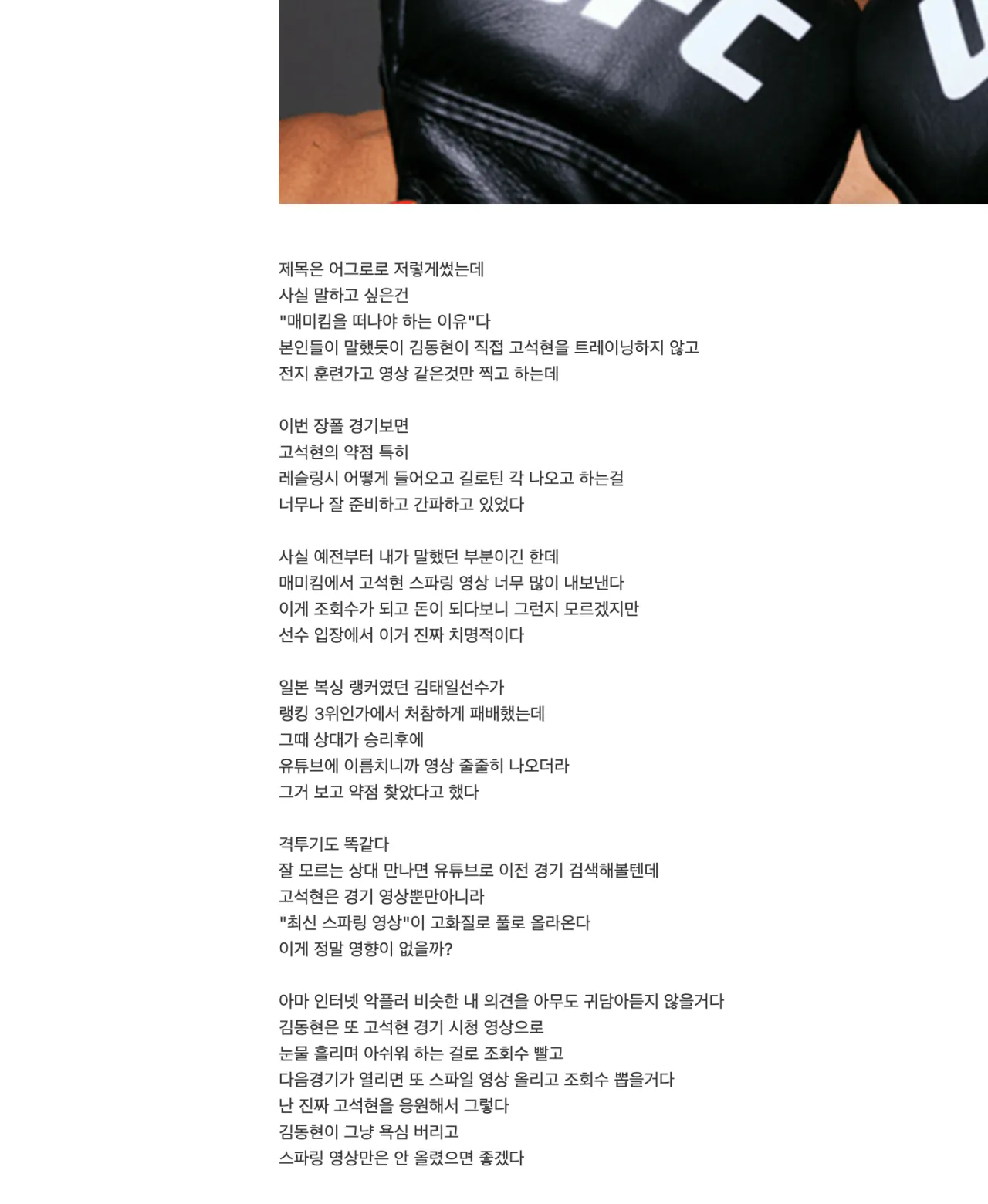 디씨 UFC 갤러가 분석한 고석현 패배 이유