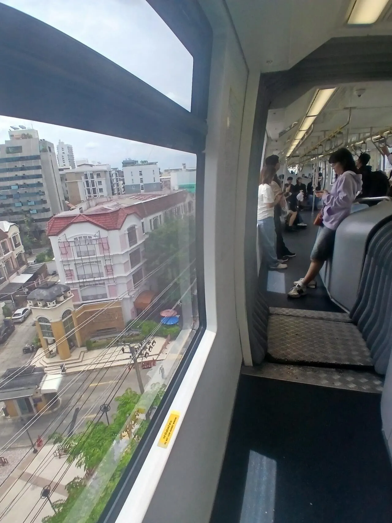 1000026980.jpg 혐주의) 2026 태국 뱀 탐사 작전 5일차