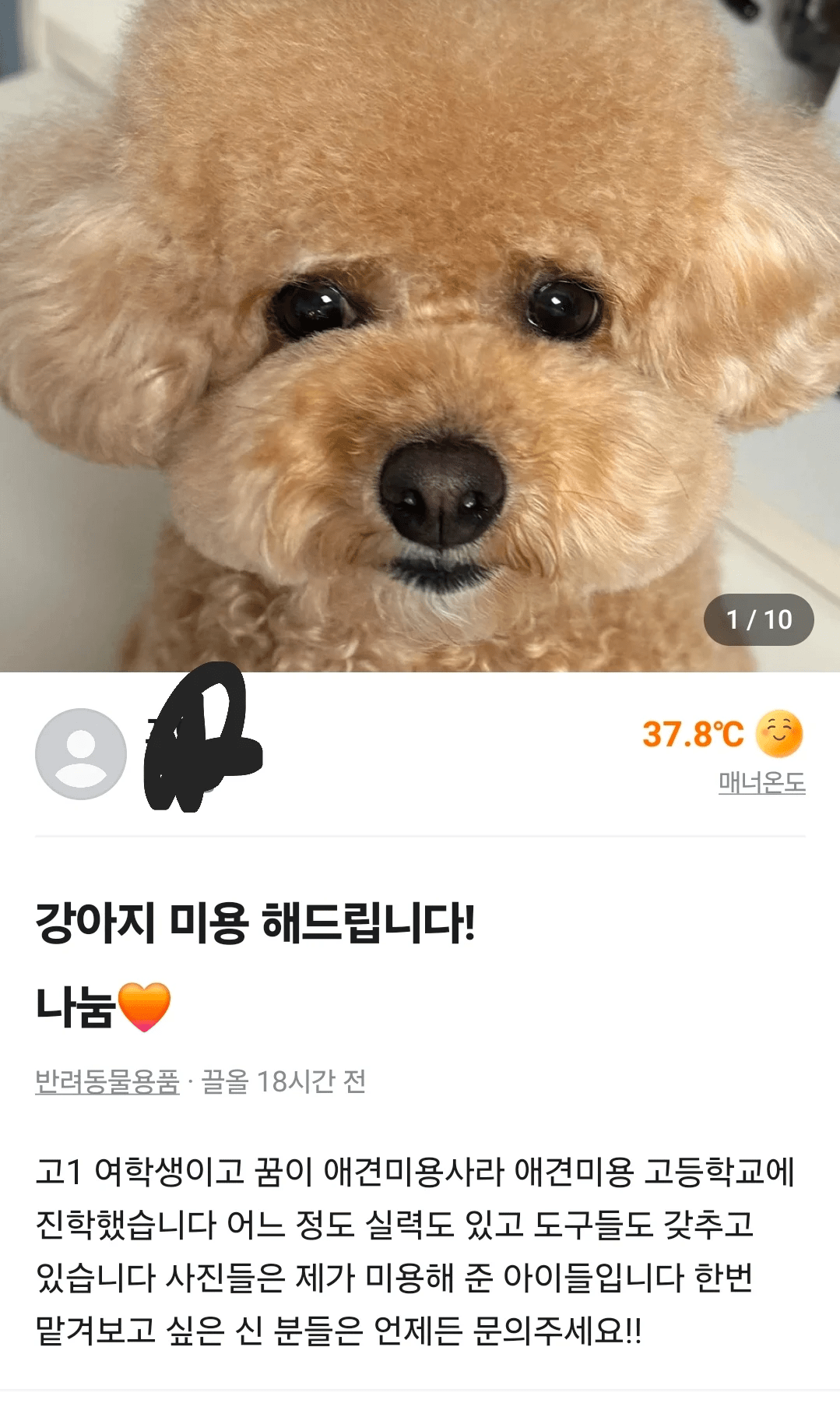 image.png 강아지 미용 나눔이라길래 공짜인줄 알았음.jpg