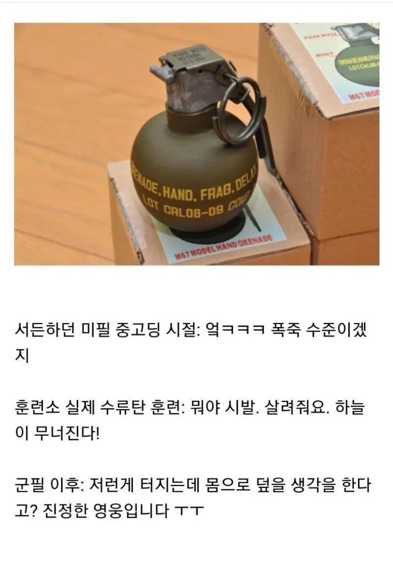bf46a9dc91cbe95784a402a0109def35.jpeg.jpg 군대가면 이미지바뀌는 무기...JPG