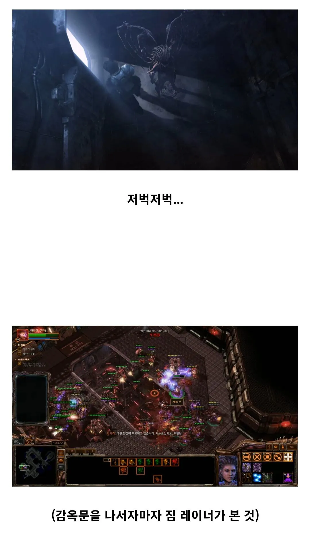 Screenshot_20250303_023512_Samsung Internet.jpg 스타크래프트 짐 레이너 인생 최대의 위기