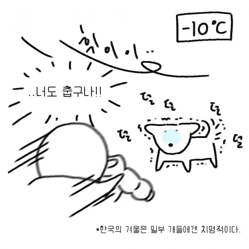 개를 키우기전에 했던 생각.manhwa