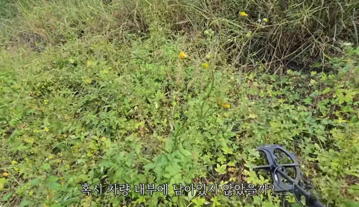 인디아나 웁스 (44).bmp.ren.jpg 스압 ) 금속탐지기로 고인의 유품을찾아준 유튜버