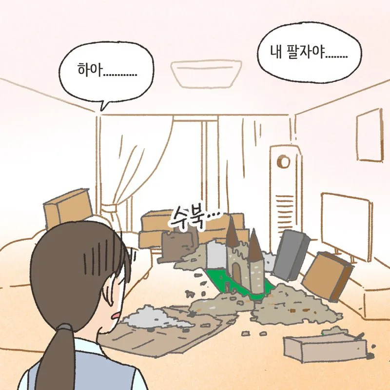 전재산의 절반을 레고에 쓴 남자 ㄷㄷ