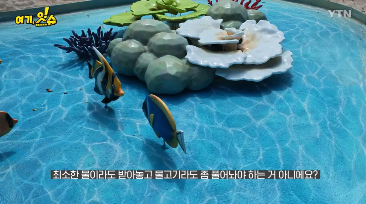 섬 박람회를 직접 가보니 화가 난다는 기자 ㄷㄷ