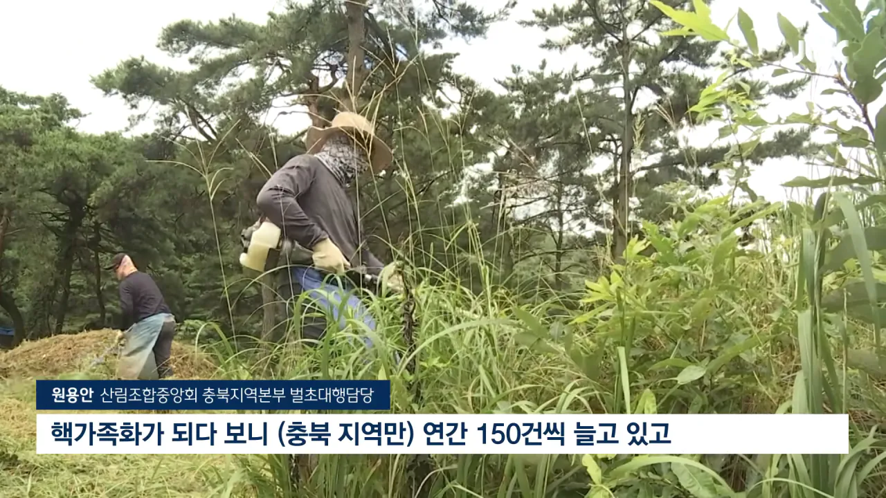 [자막뉴스] '벌초' 언제까지 할 수 있을까…_이제 이 길뿐입니다_ 깜짝 _ JTBC News 0-12 screenshot.png 성묘 & 벌초에 고심하던 600년 종가의 결단 ㄷㄷㄷ