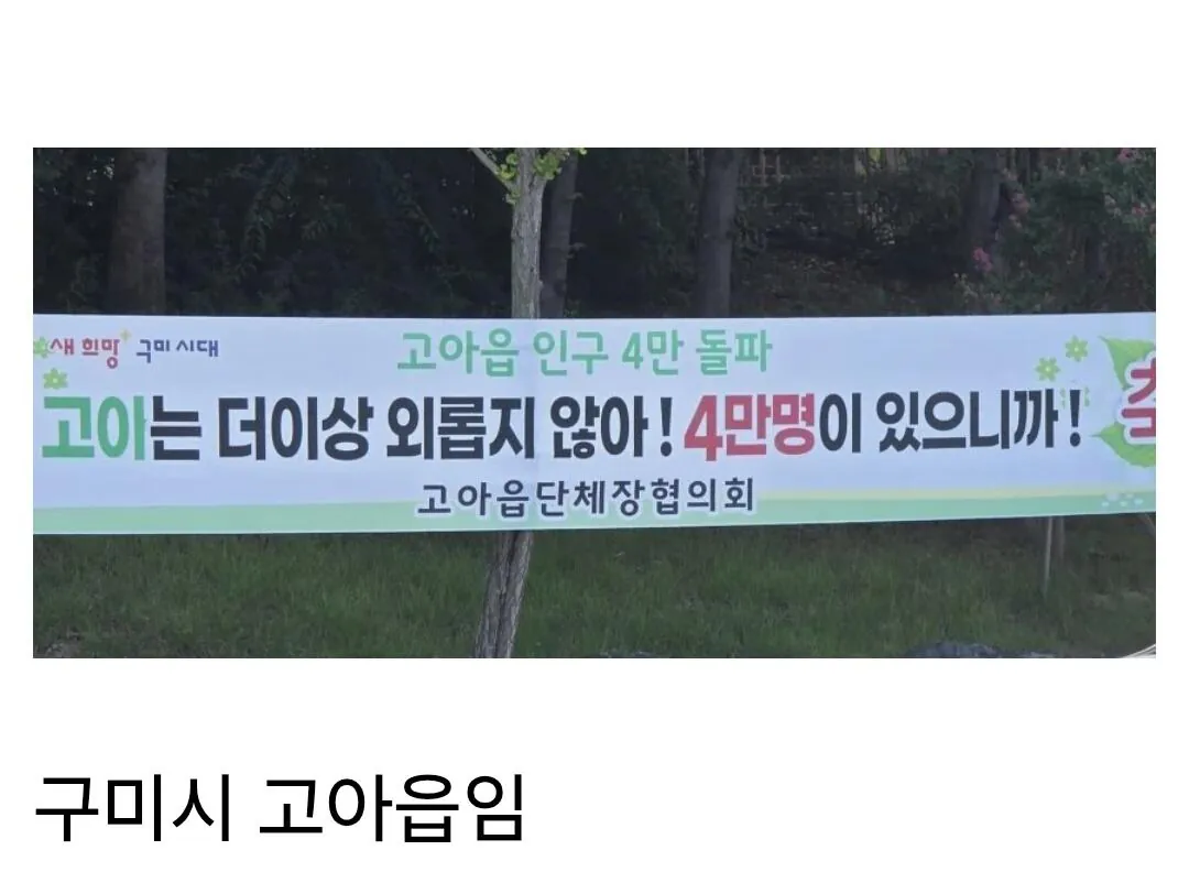 Screenshot_20260906_234626_Samsung Browser.jpg "고아" 인구 4만 돌파 플랜카드.