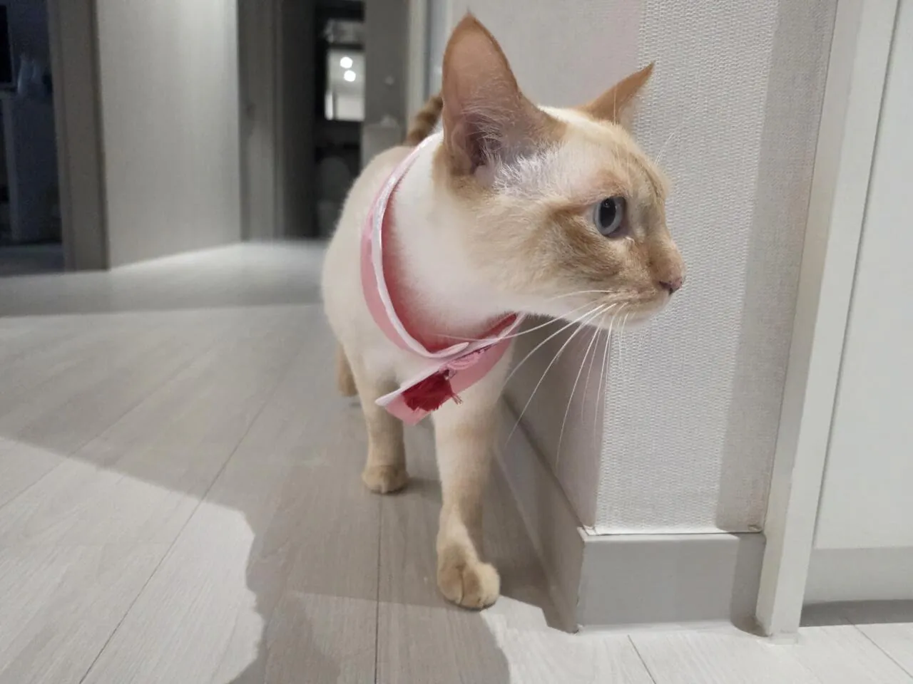 22813.jpg 해피 추석 되십쇼 형님들