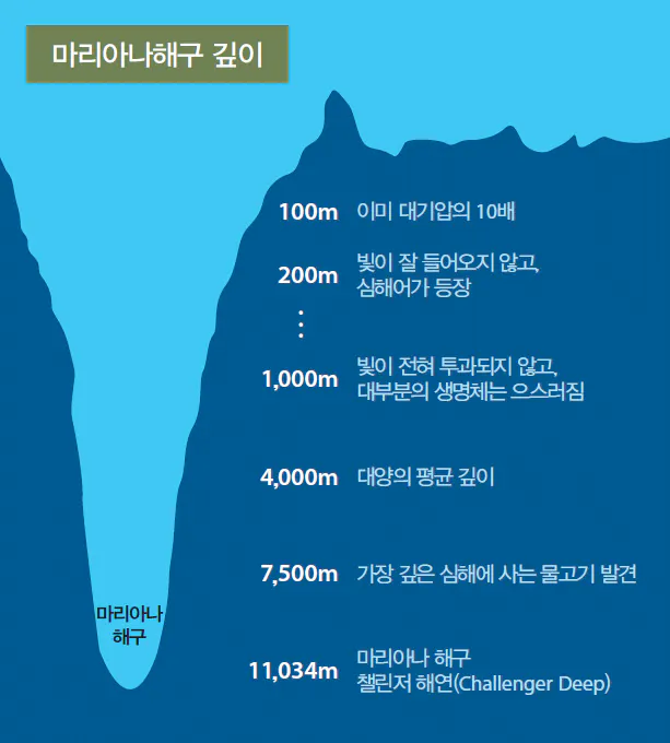 5d6f2ae3132c825db245f1100657619b.png 해저 10,927m 밑에서 발견된 것