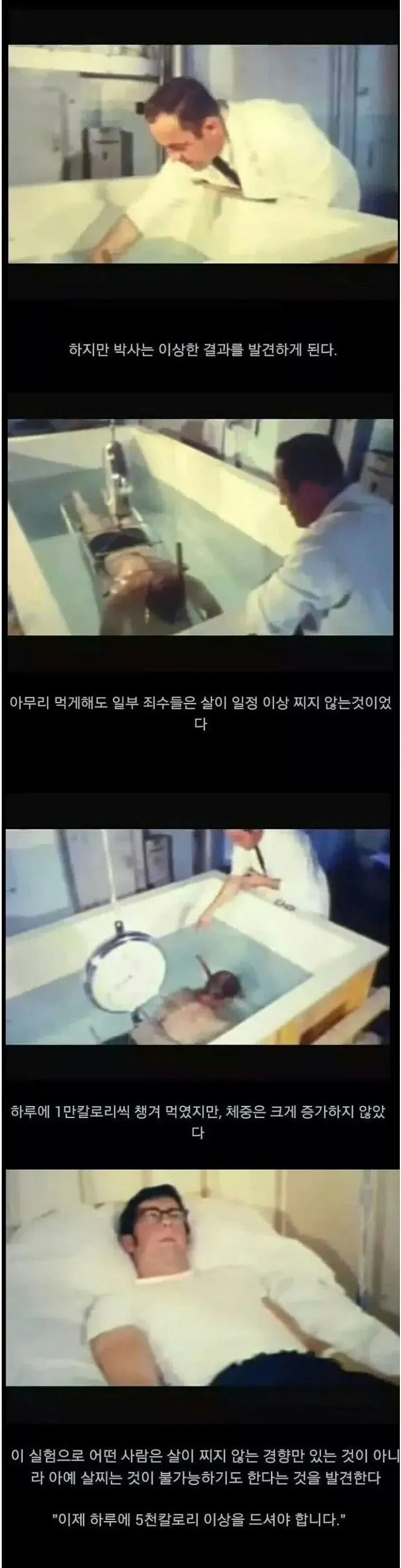 살이 안찌는 체질 실험 다큐멘터리