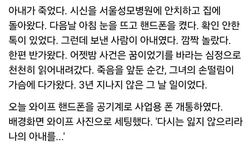 12901.webp 암투병 아내의 임종전 마지막 장문의 카톡