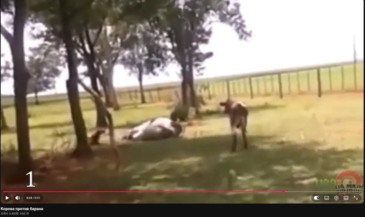 image.png 역대급 업셋 gif
