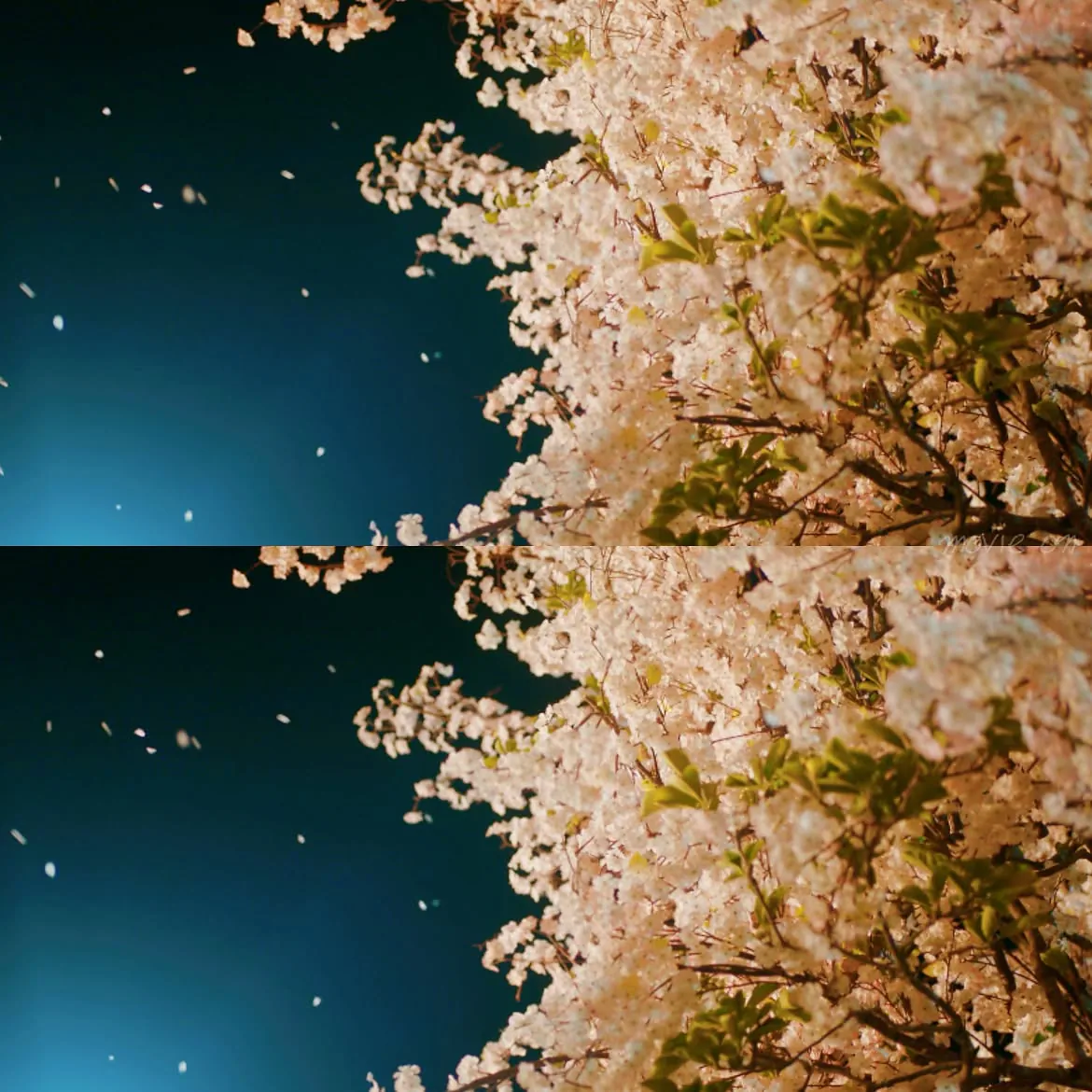 1000065613.jpg 미스터 션샤인 바등쪼 조합 한 장면