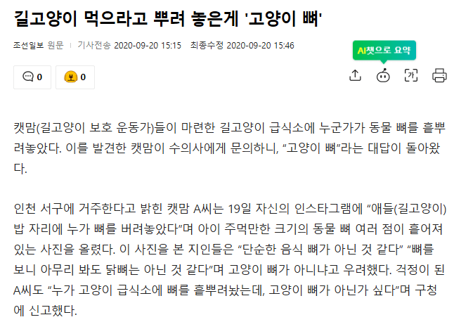 고양이2.png 고양이 삶아서 버렸다는 글 팩트체크확인.fact